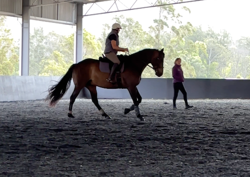 Dressage Training with Chris Fowles
